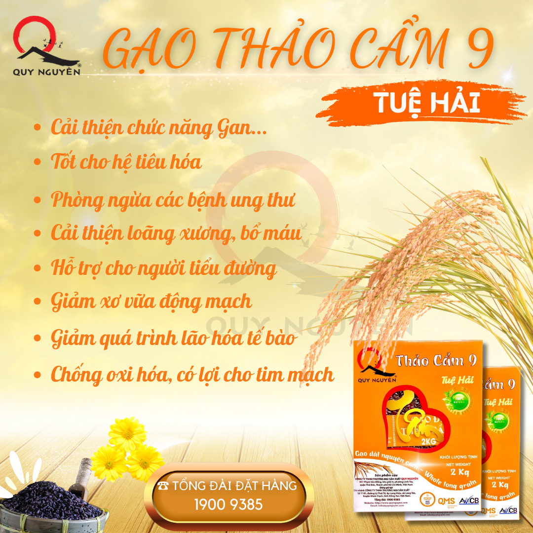 Công dụng Gạo Thảo Cẩm 9 Tuệ Hải (gạo tím thảo dược)